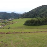 Lietava 25 150x150
