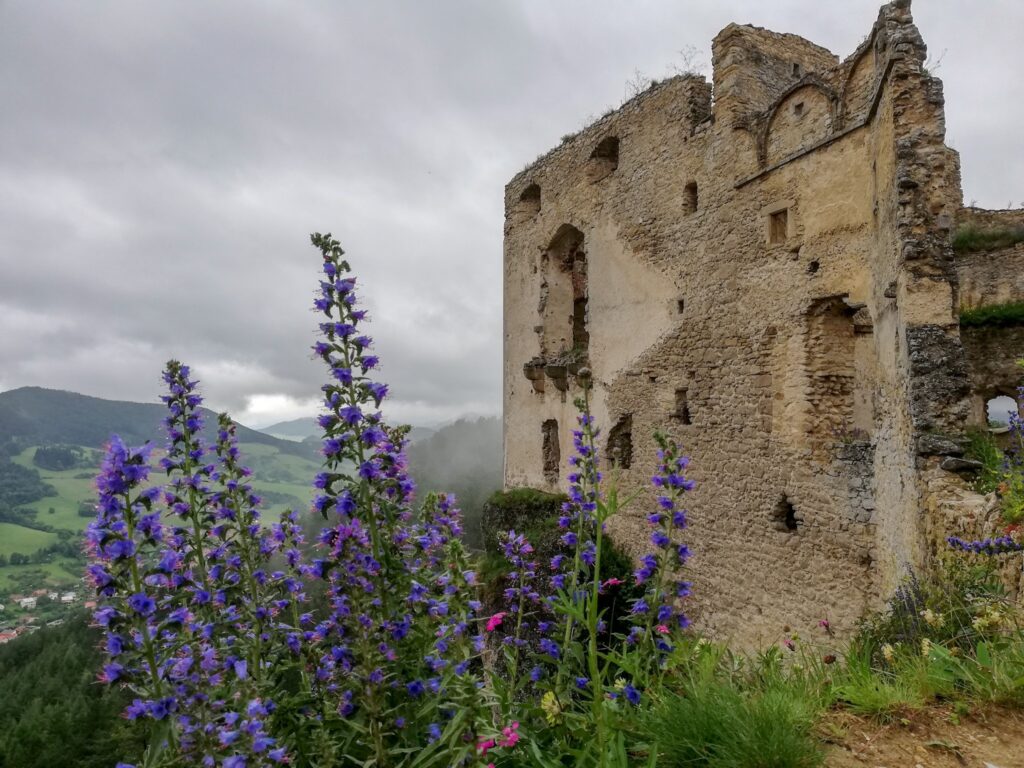 Veľká dobrovoľnícka akcia na Lietavskom hrade 18.-19.7.2020 HradLietava Kika Chobotova 21.6.2020 1024x768